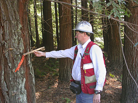 Media Image